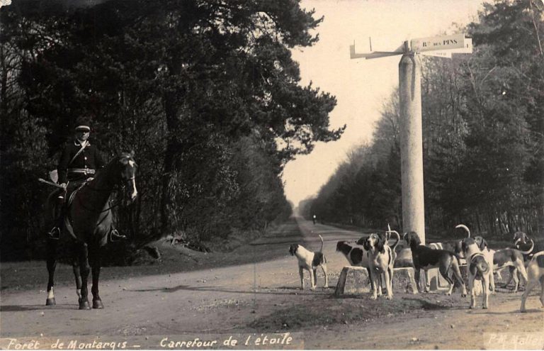 Vieux Montargis - Photographe Marius Mallet