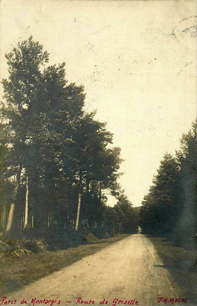 Montargis en image - La forêt de Montargis
