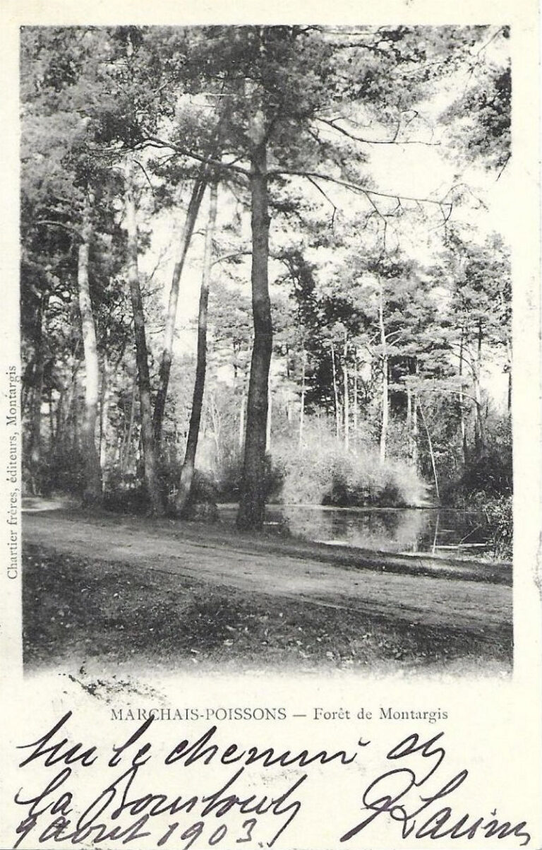 Histoire, forêt de Montargis - Marchais - Poissons