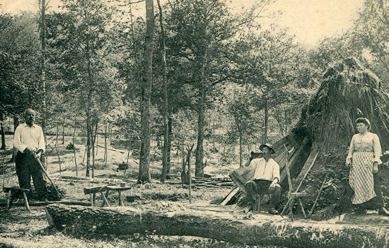 Montargis en image - La forêt de Montargis