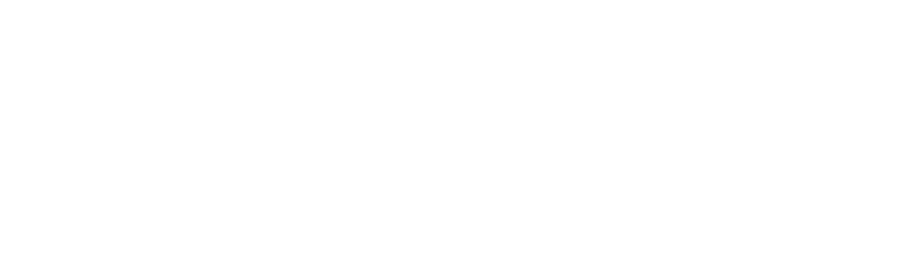 Histoire de Montargis
