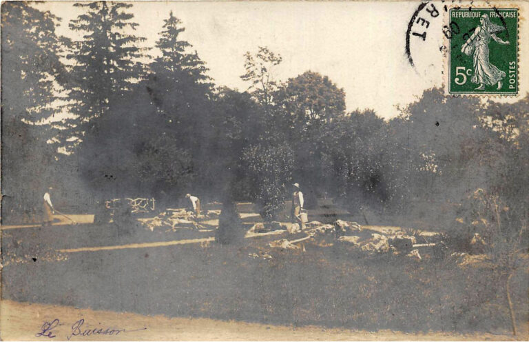 Histoire de Montargis - Photographe Marius Mallet. Amilly, Saint-Firmin-des-Vignes, le buisson 1909