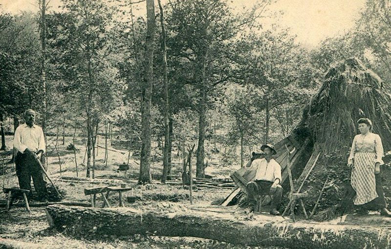 Montargis en image - La forêt de Montargis